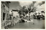 [1924] Venetian Pool and Buildings
